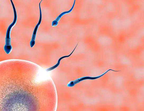 温州代生公司流程 温州附二院生殖科做试管可以选择胚胎性别吗？ ‘64乘以2