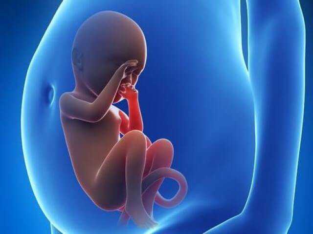 合肥包生双胞胎 合肥试管费用情况 ‘胎儿做四维生长指标能判断男女吗’